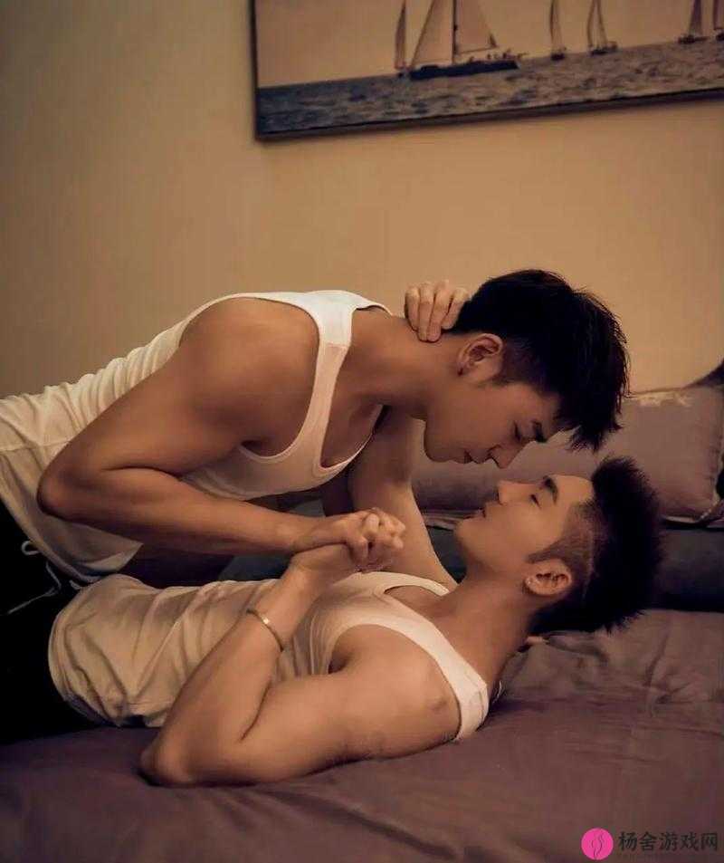 关于 chinese 中老年 gay old hd 的相关探讨与分析